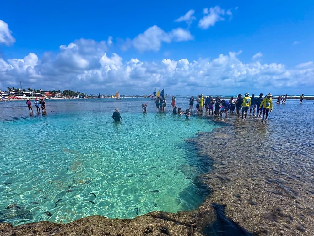 Piscinas naturais de Porto de Galinhas, em Pernambuco